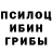 Псилоцибиновые грибы GOLDEN TEACHER Ani Konik
