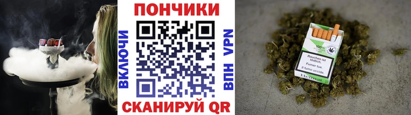 Бошки Шишки семена  как найти наркотики  Мещовск 